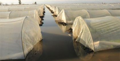 Anamur ilçesinde çıkan hortum, Demirören Mahallesi’ndeki bahçe ve seralara büyük