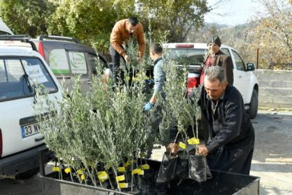 Büyükşehir Belediyesince, Çamlıyayla ilçesinde 99 üreticiye dağıtılan 2 bin 910