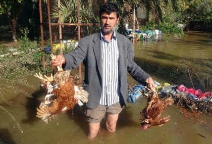 Anamur ilçesinde sağanak yağışın neden olduğu selde çok sayıda kümes