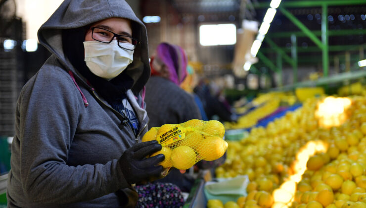 BÜYÜKŞEHİR, 3 İLÇEDE 10 TON LİMON DAĞITTI Mersin Büyükşehir Belediyesi’nin Erdemli’deki limon üreticisine destek olmak amacıyla satın