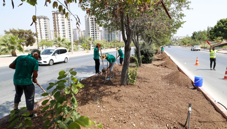 Mersin Büyükşehir Belediyesi Park ve Bahçeler Dairesi, ‘Mersin İl Geneli Yeşil