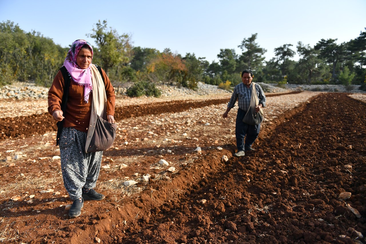 Mersin Büyükşehir Belediyesi’nin 2020 yılında Bahri Bağdaş Uluslararası Tarımsal Araştırma