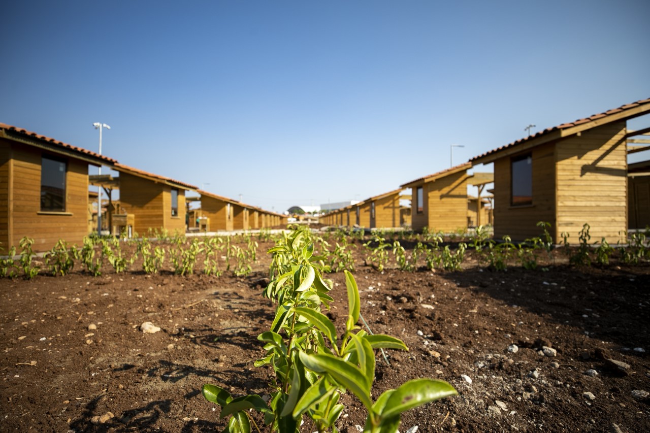 Mersin Büyükşehir Belediyesi’nin Toroslar ilçesi Arpaçsakarlar Mahallesi 68’liler Ormanı karşısındaki