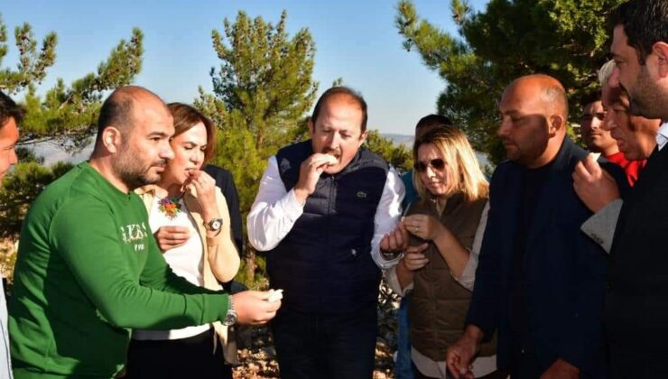 ‘Kızılova Yaylası Obruk Peyniri Çıkarma Etkinliği’nde mağaralarda olgunlaşarak hazır hale