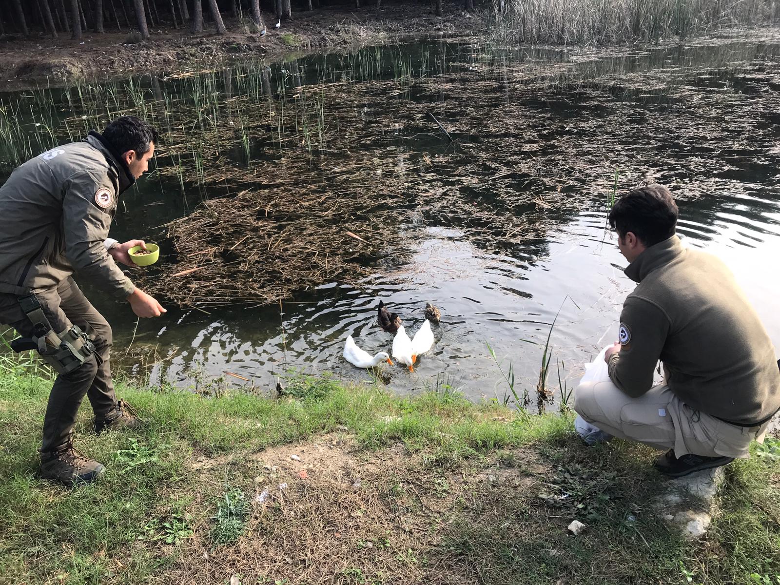MERSİN POLİSİ SEVİMLİ DOSTLARIMIZI UNUTMADI Mersin Emniyet Müdürlüğü Asayiş Şube Müdürlüğü Çevre, Doğa ve Hayvanları