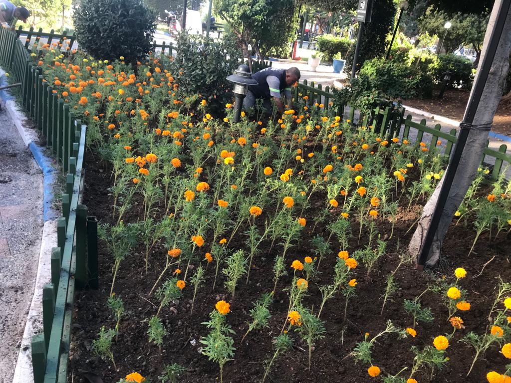 Akdeniz Belediyesi, vatandaşlara daha sağlıklı, temiz ve nezih bir kent