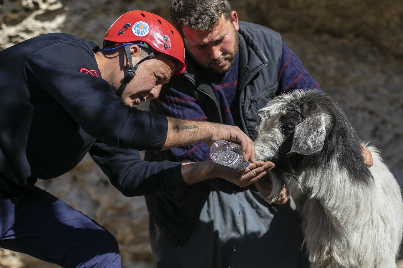 Büyükşehir Belediyesi İtfaiye ekipleri, geçtiğimiz hafta Akdeniz ve Tarsus’ta hayvan