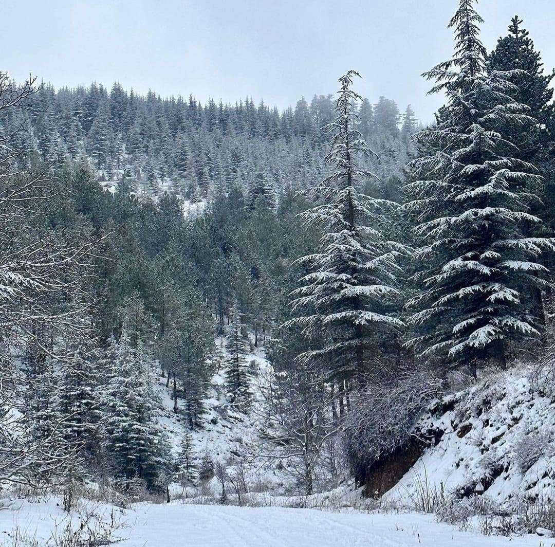 “Toroslar’dan Kartpostallık Manzaralar” Mersin’in merkez ilçesi Toroslar’ın yüksek kesimleri, kar