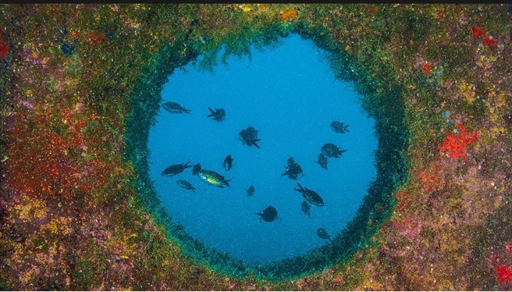 Tarım ve Orman Bakanlığı, yapay resif projeleri kapsamında denizlerde oluşturduğu