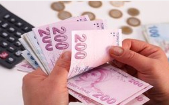 Çalışma ve Sosyal Güvenlik Bakanı Vedat Bilgin, asgari ücret ve