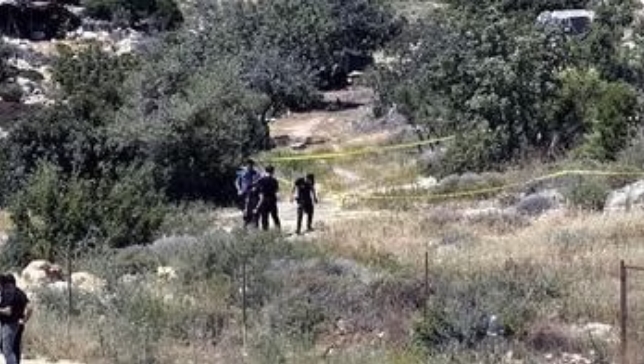 Mersin’in Silifke ilçesinde bir kadın tarafından ağaçlık alanda çiçek toprağı