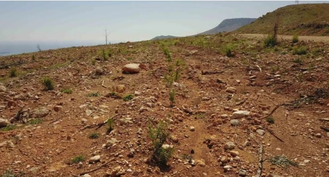 Mersin Orman Bölge Müdürlüğüne bağlı Silifke Orman İşletme Müdürlüğü Yeşilovacık