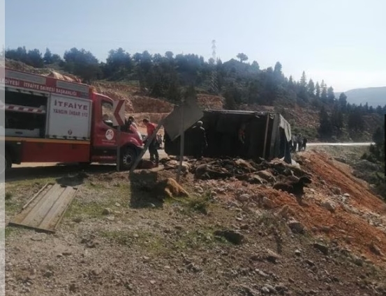 Mersin’in Erdemli ilçesinde 300 tane canlı hayvan taşıyan tır, sürücüsünün