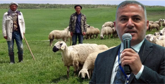 Ankara Damızlık Koyun Keçi Yetiştiricileri Birliği Başkanı Hasan Kılınç, katıldığı