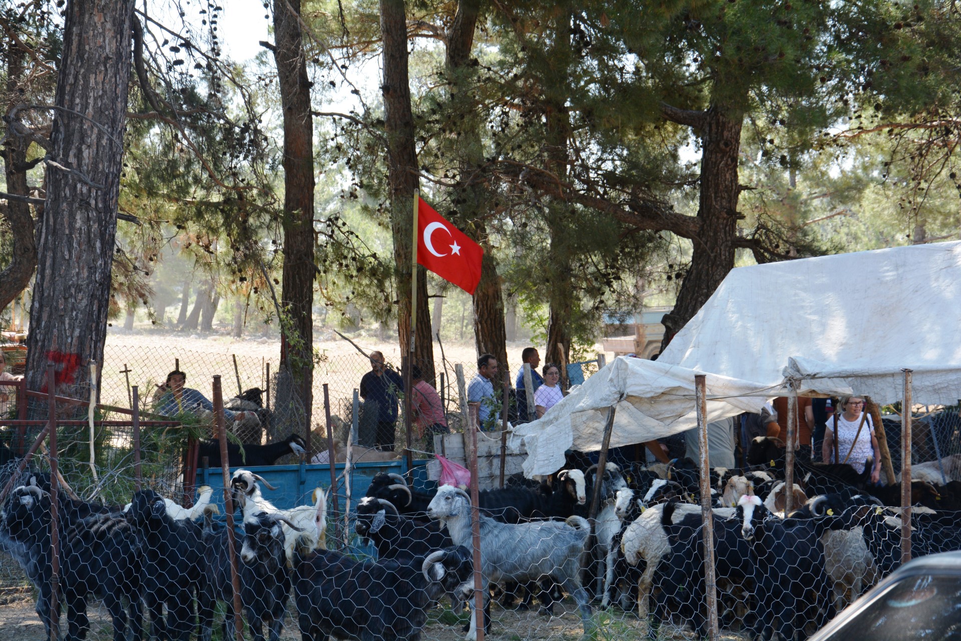 Gülnar Belediyesi Tarafından Düzenlenen