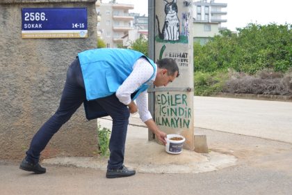 Yenişehir Belediyesi Sokak Hayvanlarını Yalnız Bırakmıyor