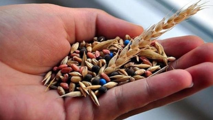 Uluslararası Medeniyet Refah Eğitim ve Sağlık Derneği (UMRE) Genel Başkanı