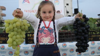 Bu yıl beşincisi düzenlenen ‘Örtüaltı Üzüm Festivali’, Mezitli Belediyesi ve