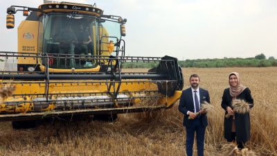 Elde edilen buğday, una dönüştürülüp kadın kooperatifleri ve dezavantajlı ailelere