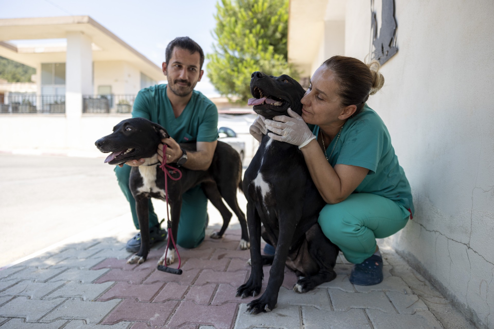Bünyesinde yüzlerce sahipsiz hayvanın misafir olduğu, her yıl binlerce patili