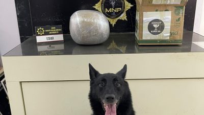 Mersin İl Emniyet Müdürlüğü Narkotik Suçlarla Mücadele Şube Müdürlüğü ekipleri,