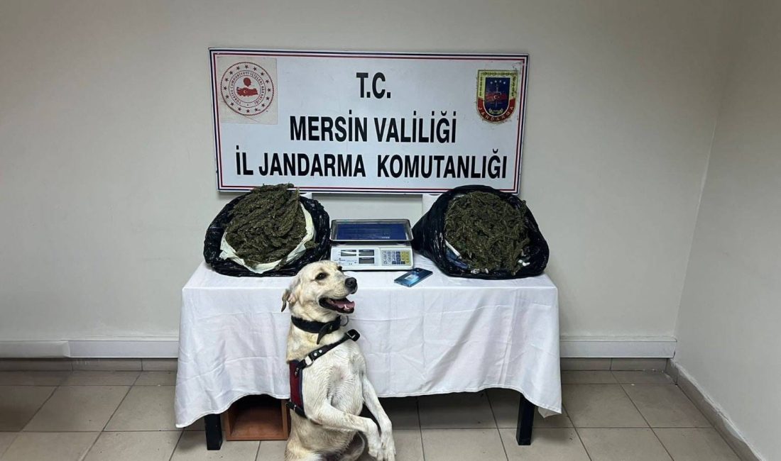 Mersin İl Jandarma Komutanlığı