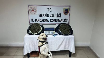Mersin İl Jandarma Komutanlığı ekipleri uyuşturucu madde ticareti yapan şahıslara