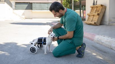 Bir süre önce gelen ihbar üzerine bir apartman dairesinde yalnız