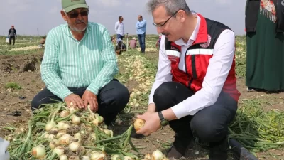 KÖKÇÜOĞLU: ÜRETİM PLANLI YAPILACAK  Karara göre tarımsal üretimin ve gıda