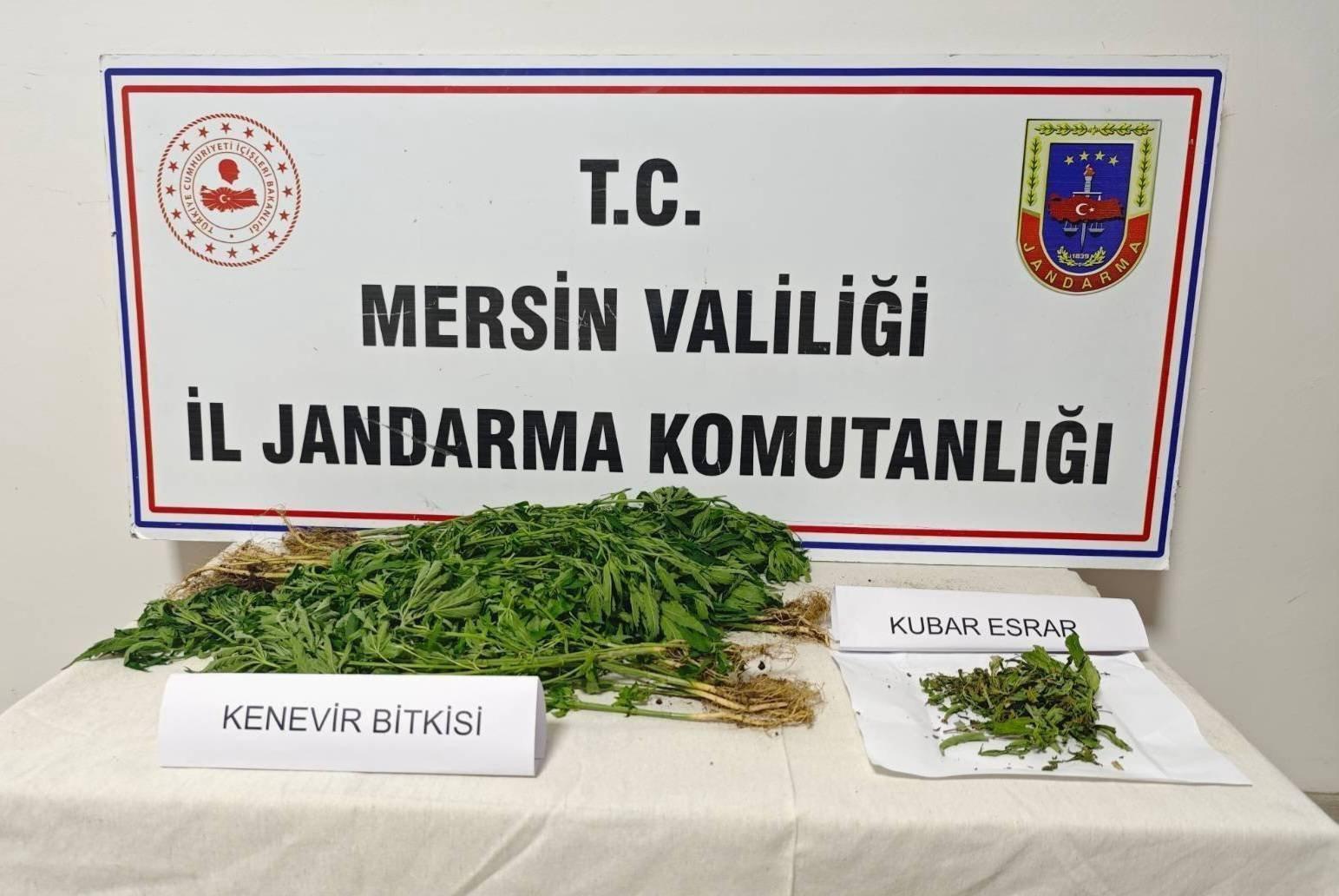 Jandarmadan Uyuşturucu Madde Operasyonu: 6 Gözaltı