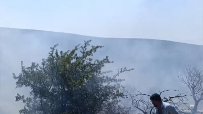 Mut, Geçimli Mahallesi'ndeki bir bahçede başlayan yangın, kısa sürede ormanlık