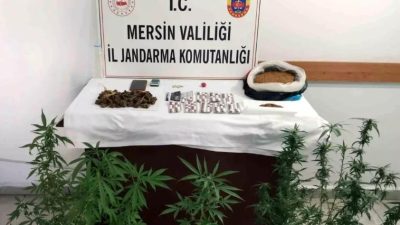 Mersin'de jandarma ekipleri, Yenişehir ve Mut ilçelerinde düzenledikleri operasyonla uyuşturucu