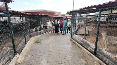 Mersin Büyükşehir Belediyesi Tarımsal Hizmetler Dairesi Başkanlığı bünyesinde patili dostlar