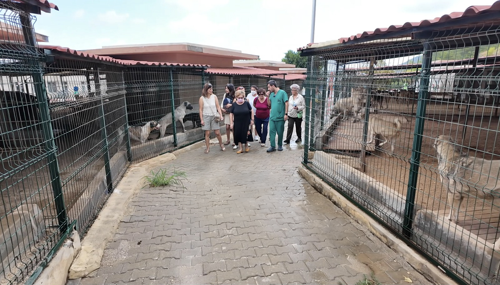 Mersin Büyükşehir Belediyesi Tarımsal Hizmetler Dairesi Başkanlığı bünyesinde patili dostlar