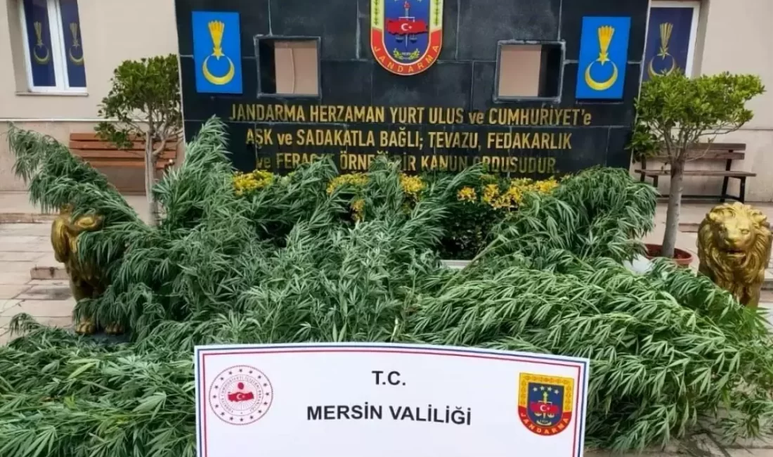 Mersin'de jandarma ekipleri, uyuşturucu