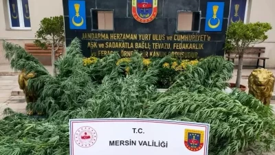 Mersin'de jandarma ekipleri, uyuşturucu madde ticareti yapan üç kişiyi yakalayarak