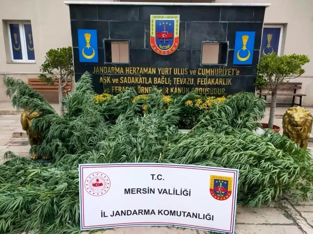 Mersin'de jandarma ekipleri, uyuşturucu madde ticareti yapan üç kişiyi yakalayarak