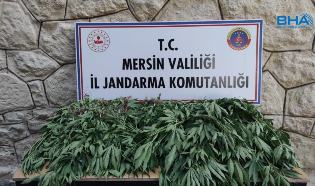   Mersin İl Jandarma Komutanlığı, uyuşturucu ile mücadelesine kararlılıkla