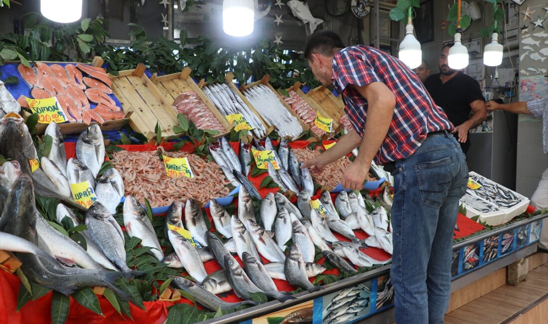 Türk somonu ihracatı 2024’te yüzde 26 arttı – Birlik Haber Ajansı ANKARA-BHA Türkiye’nin somon ihracatı, 2024 yılı itibarıyla büyük bir artış