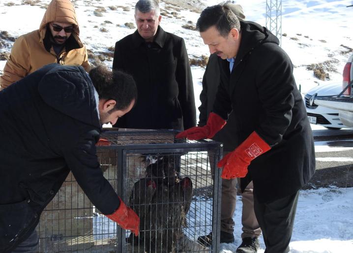 KARS–BHA Bir süre önce Erzurum’un kırsalında vatandaşlar tarafından yaralı olarak