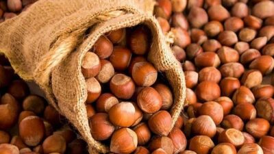 ANKARA-BHA Fındık ihracat sezonunun ilk dört ayında yaklaşık 1,1 milyar