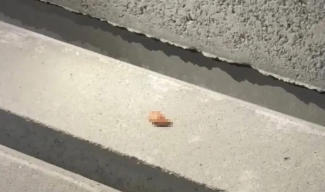 Mersin-Antalya yolunda korkunç kaza: Kopan parmak için seferberlik! – Birlik Haber Ajansı ANTALYA-BHA Mersin-Antalya D-400 kara yolunda meydana gelen motosiklet kazası, büyük