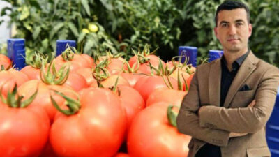 ISPARTA-BHA Isparta’da örtü altı domates yetiştiriciliğinin merkezi Deregümü’de geçen yıl