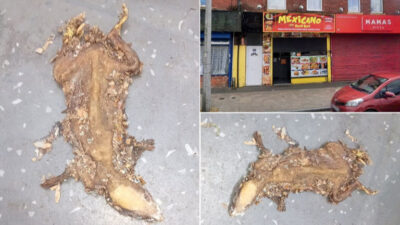 İNGİLTERE-BHA İngiltere’deki bazı dükkanlar hijyen standartlarını sağlamakta başarısız oldu. MailOnline’ın