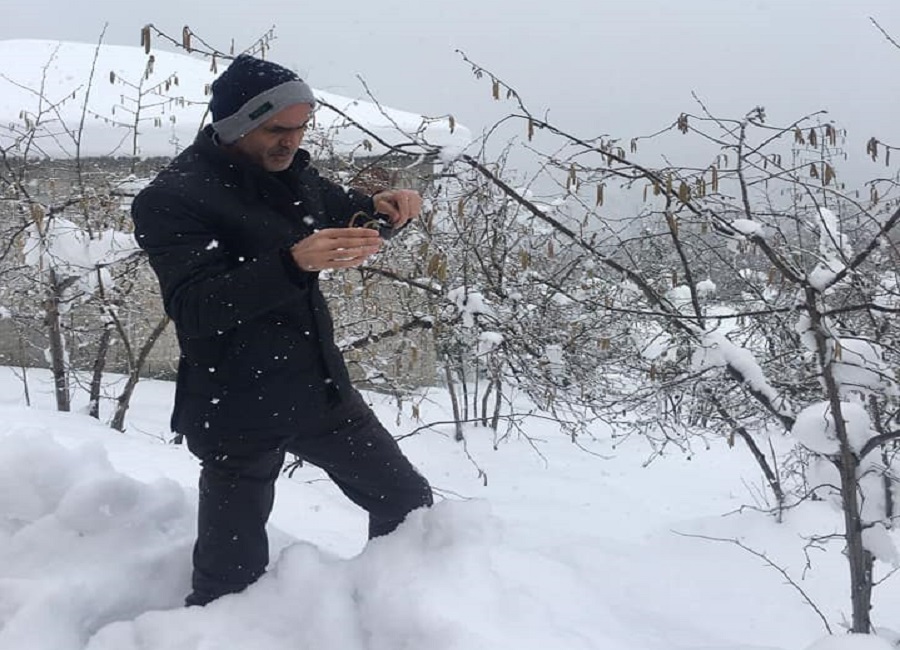 Fındık üreticisine sigorta uyarısı – Birlik Haber Ajansı GİRESUN-BHA Giresun Ziraat Odası Başkanı Nurittin Karan, fındık üreticilerini olası