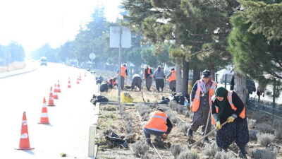ISPARTA-BHA Isparta Belediyesi Park ve Bahçeler Müdürlüğü, kış dönemi bakım