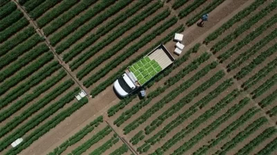 ANKARA-BHA Türkiye, 2024 yılı itibarıyla Organize Tarım Bölgeleri (OTB) sayısını