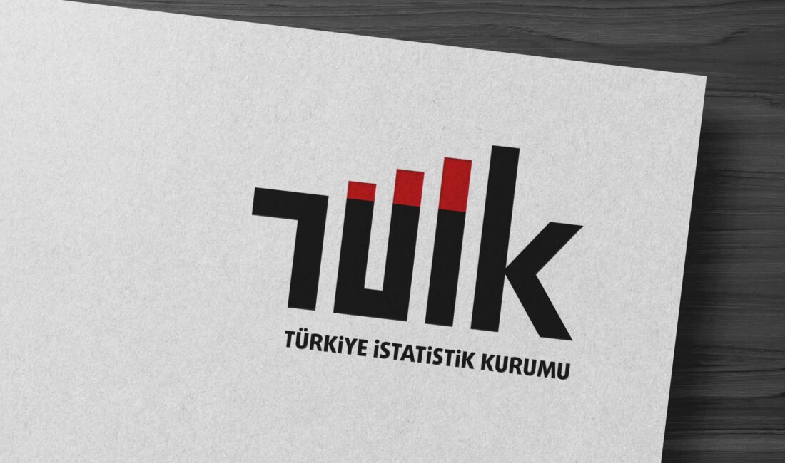 ANKARA-BHA Türkiye İstatistik Kurumu, 2024 yılı kasım ayına ait inşaat