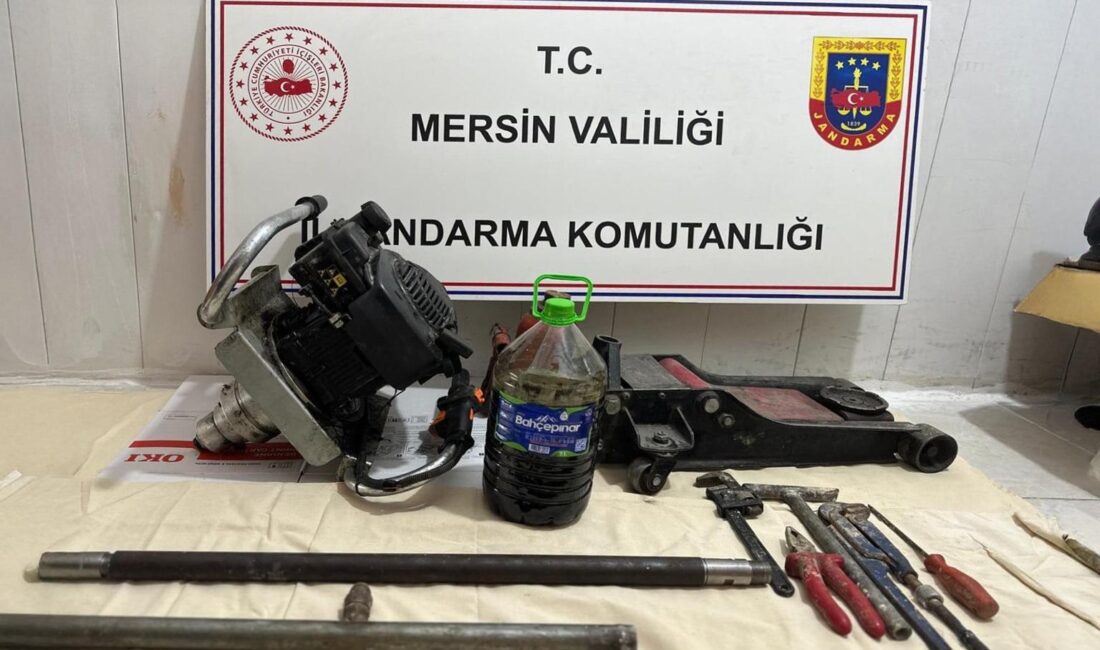 Mersin’de kaçak defineciler suçüstü yakalandı – Birlik Haber Ajansı DERŞAH NAR / MERSİN–BHA Mersin İl Jandarma Komutanlığı ekipleri, gelen