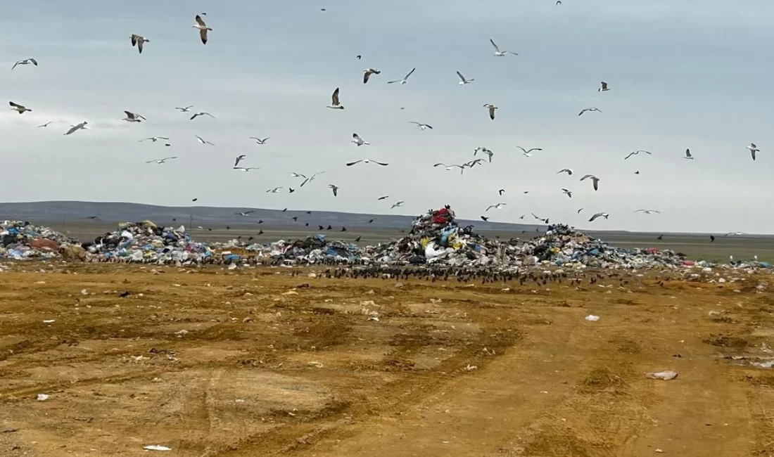 ANKARA-BHA Çevre, Şehircilik ve İklim Değişikliği Bakanlığı, Ankara Büyükşehir Belediyesi‘ne